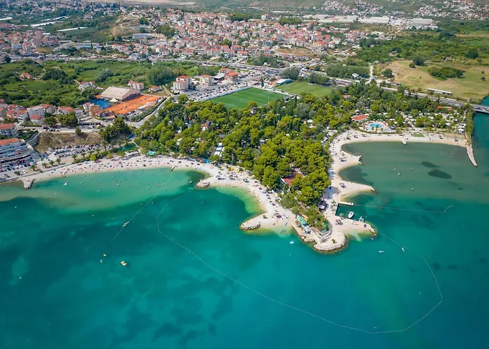 Pinia * Split