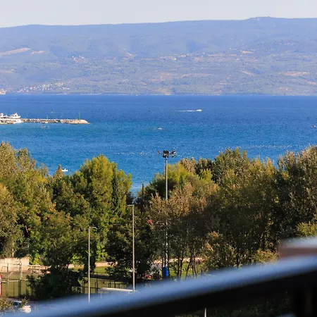 Pinia * Split